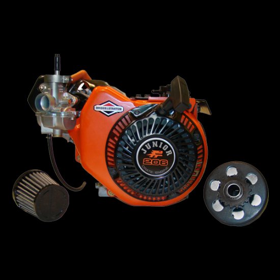 Briggs and Stratton Local Option Jr. LO206 Engine Briggs and Stratton